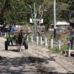 Die Transportmittel sind auf Gili Air eher einfach gehalten