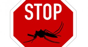 Malaria Prophylaxe für Bali