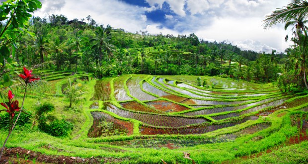 Sehenswürdigkeiten auf Bali